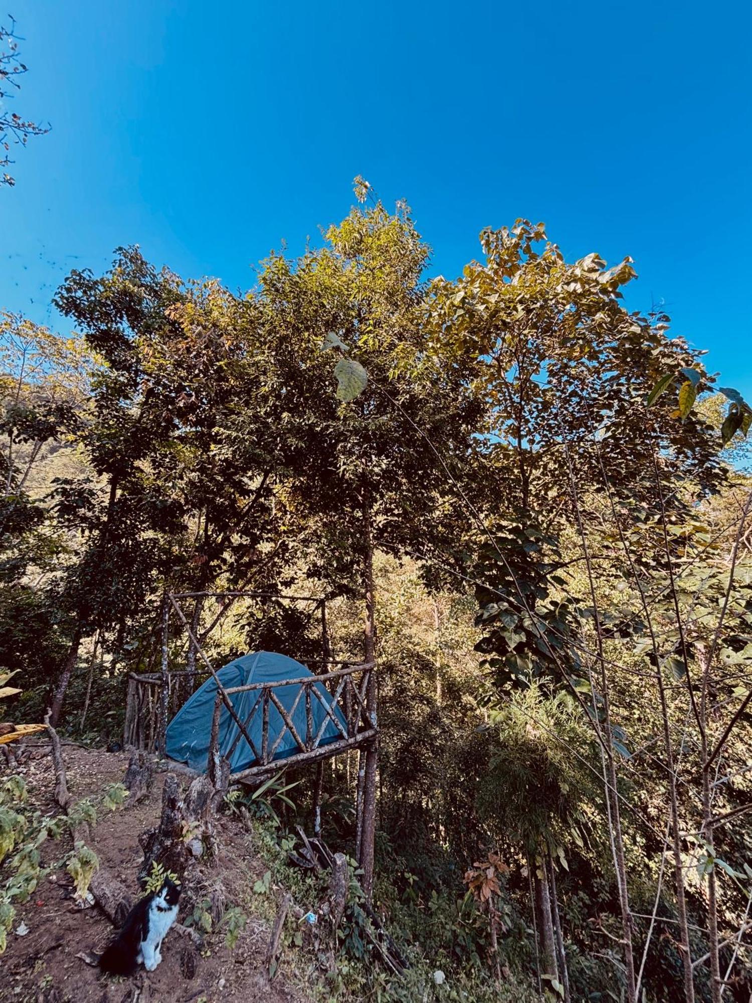 Hosanna Homestay Дарджилинг Экстерьер фото