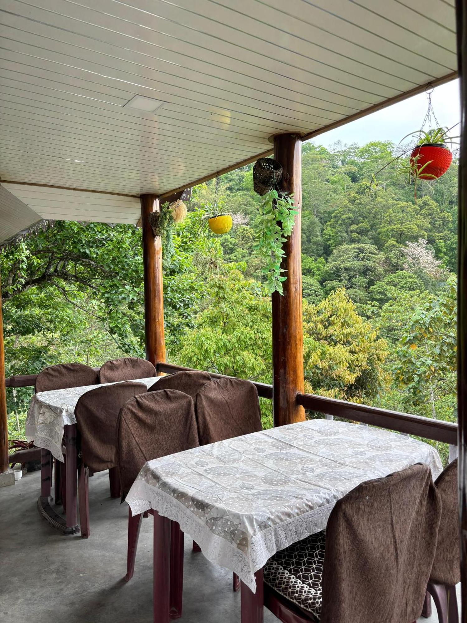 Hosanna Homestay Дарджилинг Экстерьер фото