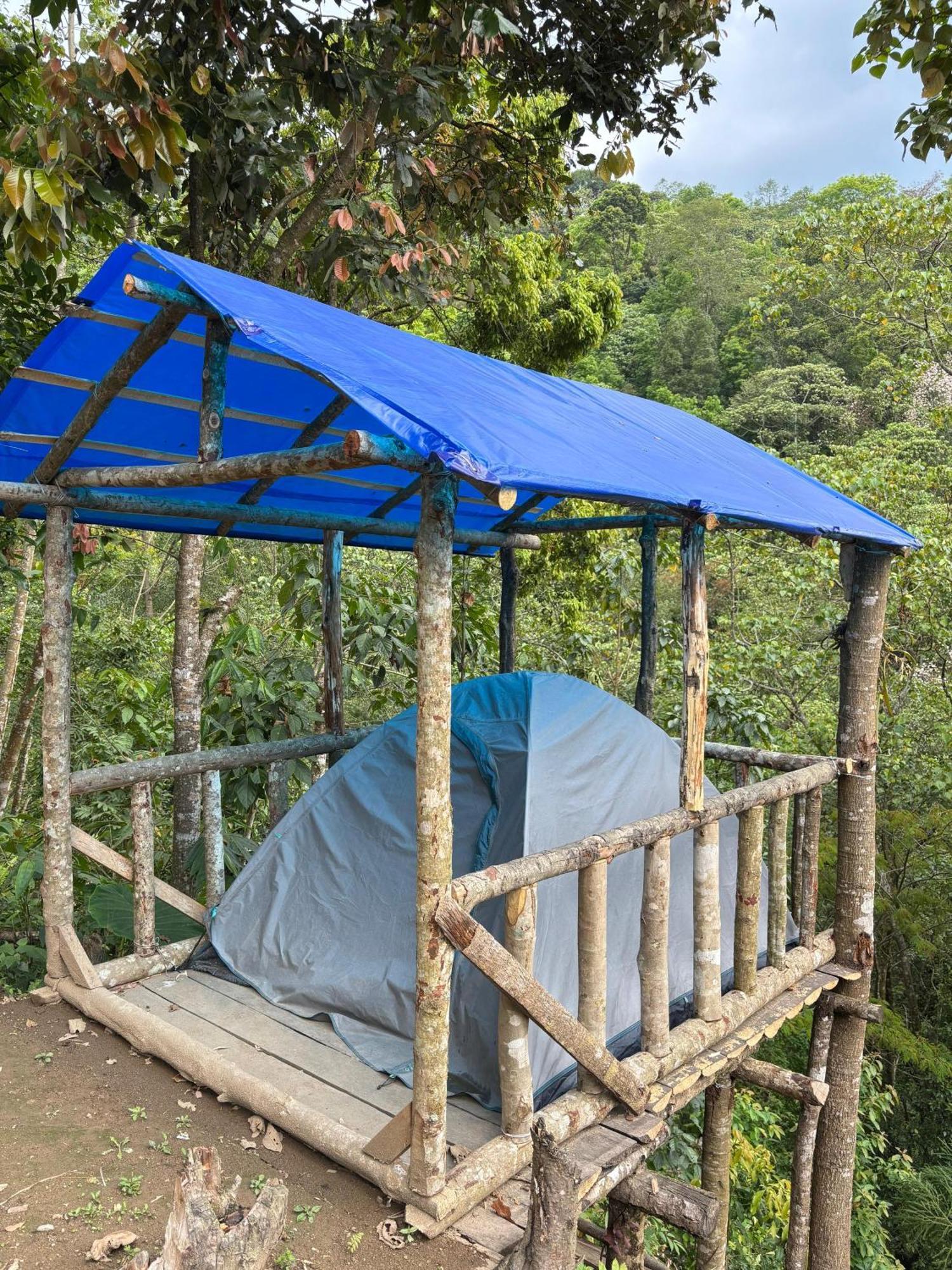 Hosanna Homestay Дарджилинг Экстерьер фото